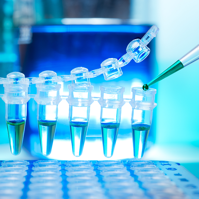 高性能活性凝膠類催化劑,確保制品具有優異的耐候性、耐化學性和耐磨性