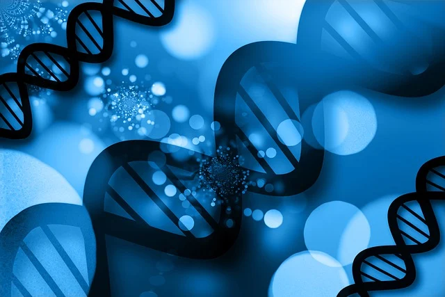 高效聚氨酯硬泡催化劑,確保泡沫快速固化,具有高閉孔率和優異的保溫性能